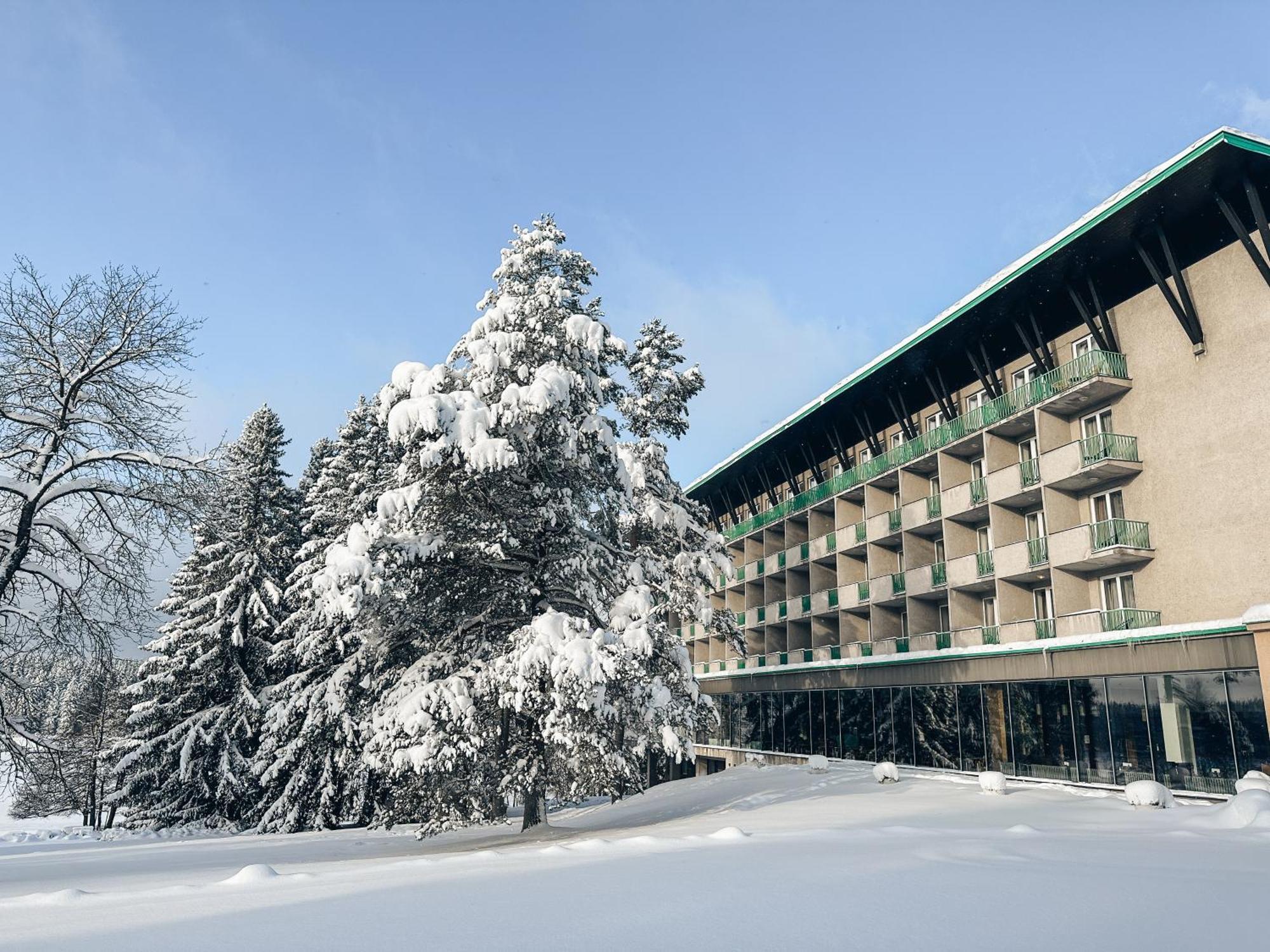 Hotel Medlov Nove Mesto na Morave Extérieur photo